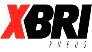 XBRI